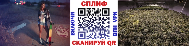 Наркошоп Куйбышев Гашиш  Канабис  Alpha-PVP  Меф 