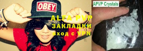 стаф Арсеньев