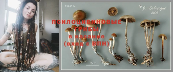 гидра Балабаново