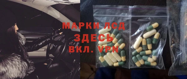 стаф Арсеньев