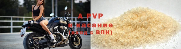 стаф Арсеньев