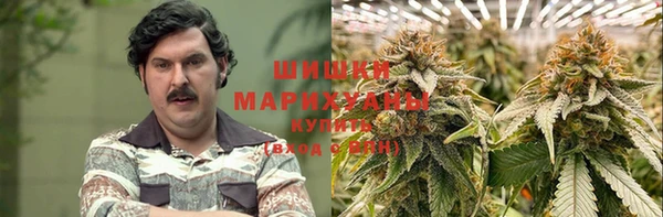 стаф Арсеньев