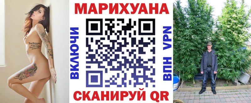 Каннабис сатива  Куйбышев 
